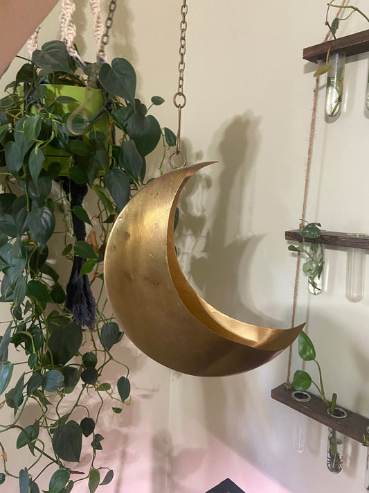 Brass Moon Planter for indoor plants with chain for hanging